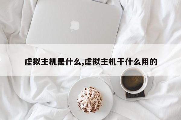 虚拟主机是什么,虚拟主机干什么用的