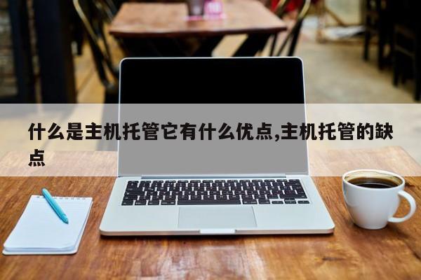 什么是主机托管它有什么优点,主机托管的缺点
