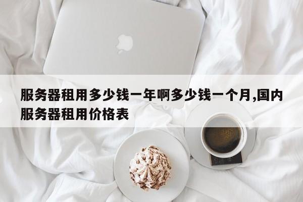 服务器租用多少钱一年啊多少钱一个月,国内服务器租用价格表