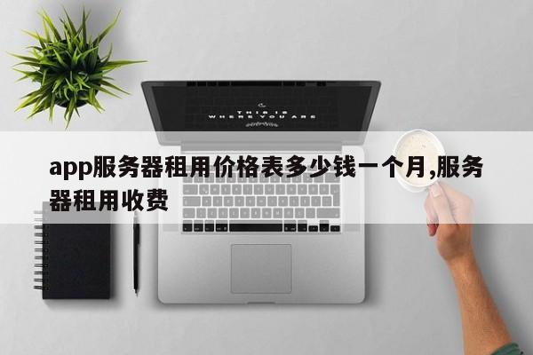 app服务器租用价格表多少钱一个月,服务器租用收费