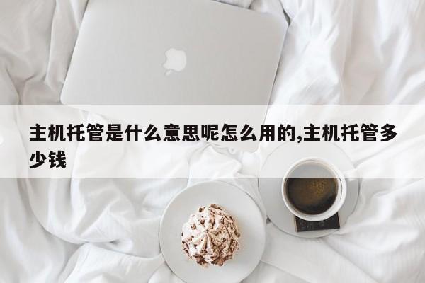 主机托管是什么意思呢怎么用的,主机托管多少钱