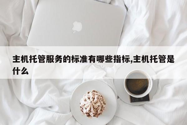 主机托管服务的标准有哪些指标,主机托管是什么
