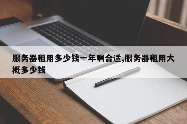 服务器租用多少钱一年啊合适,服务器租用大概多少钱