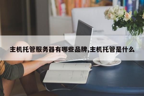 主机托管服务器有哪些品牌,主机托管是什么
